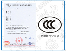国产AV麻豆美艳房东MAD0263C认证证书的样板|3C证书